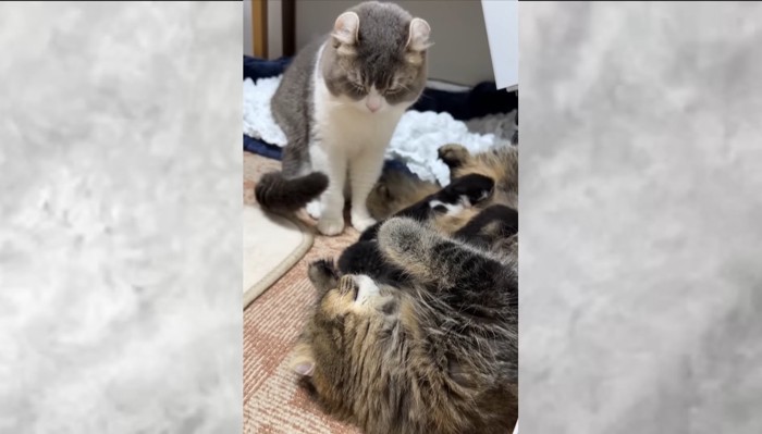 俯くパパ