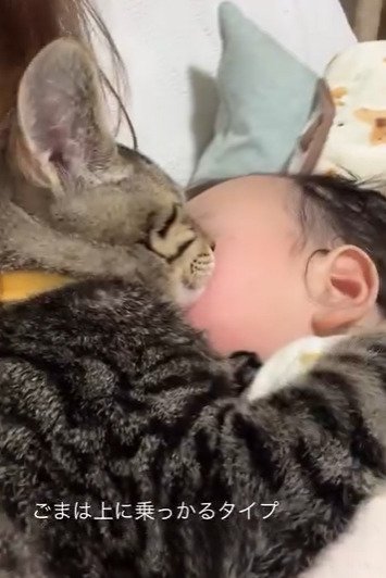 赤ちゃんの上に乗る子猫