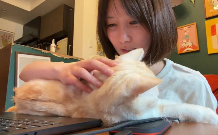 猫をなでながらなだめる飼い主