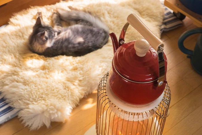ストーブの前で寝る猫