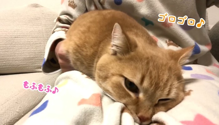 ゴロゴロ