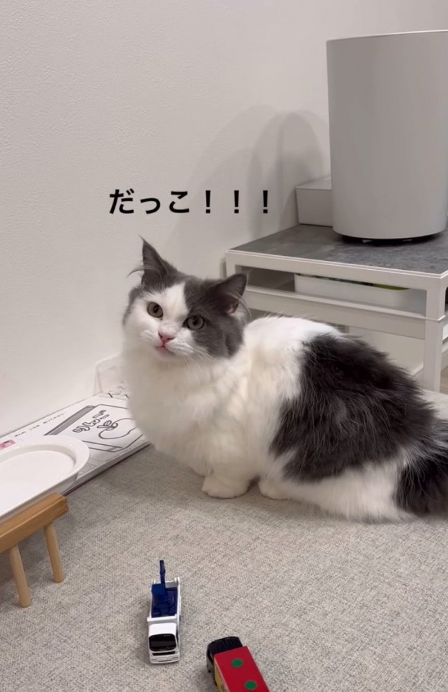 抱っこを要求