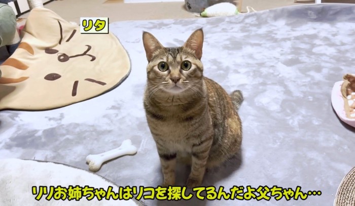 父ちゃん、違うんだよ･･･