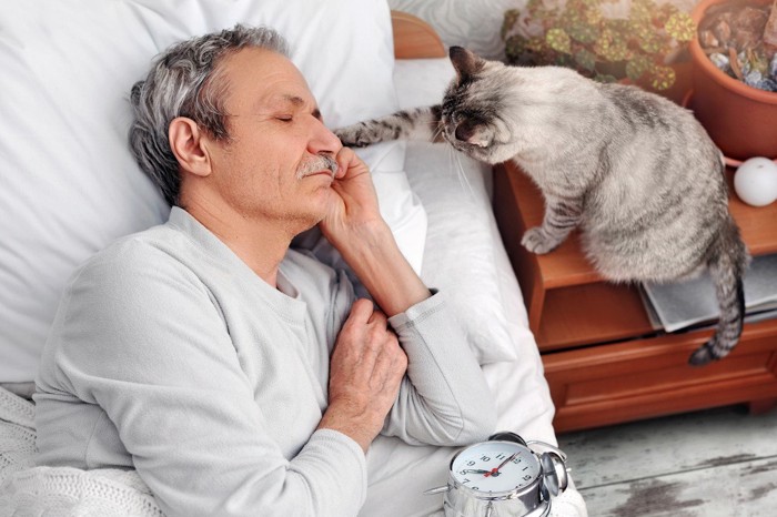 寝ている男性をチョイチョイする猫