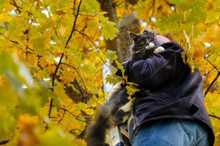 飼い主に抱かれる猫