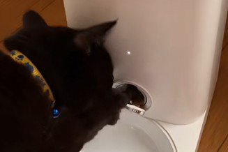 開いた自動給餌器のフタ