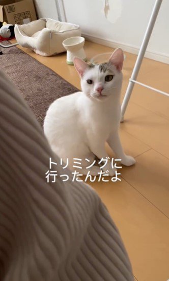 飼い主さんからまさかの情報