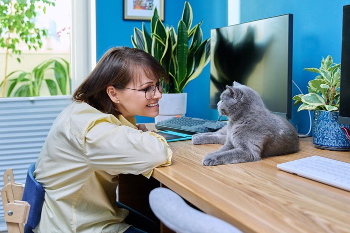 テーブルの上に寝そべる猫と猫に微笑みかける人