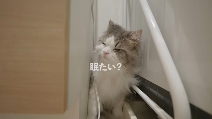 眠たい？