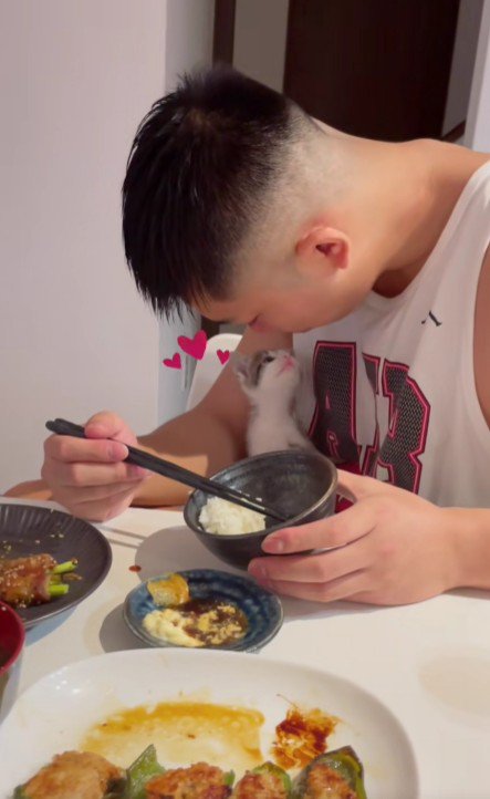 食事中の男性と子猫