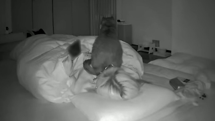 深夜のカメラ映像