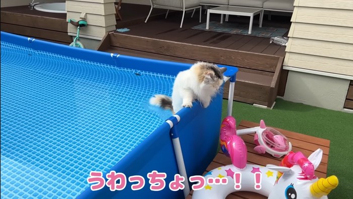 うわっちょっ…!!