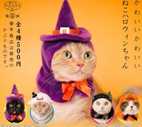 ねこハロウィンちゃん