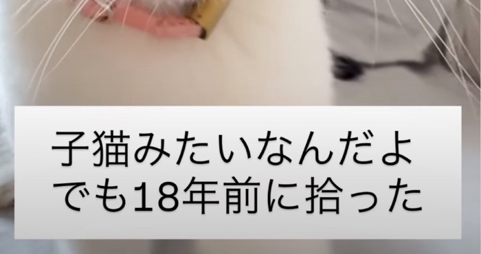 テロップ