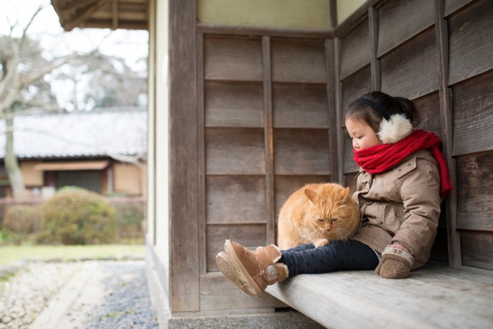 猫と遊ぶ女の子