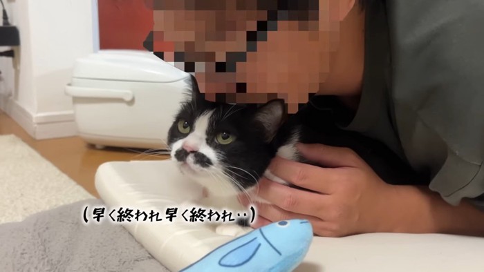 早く終われ…