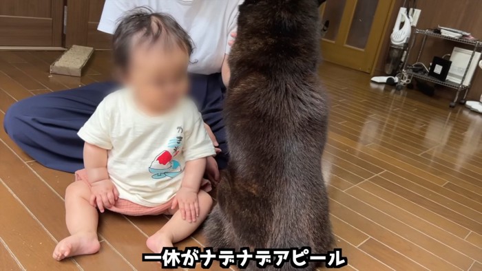 赤ちゃんの隣に座る犬