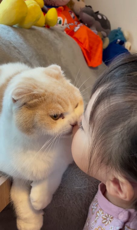 別角度からのキスシーン