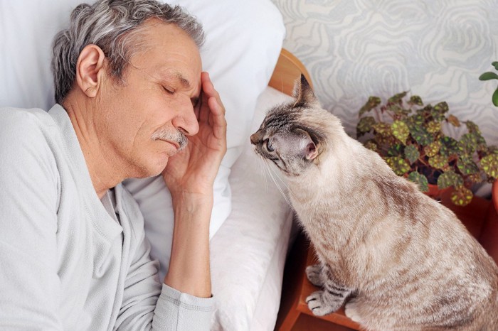 眠る男性と猫