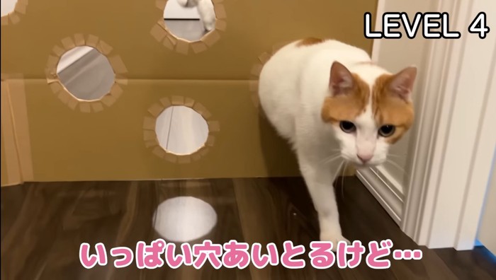 レベル4師匠