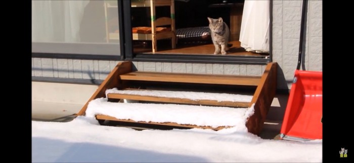 はじめての雪