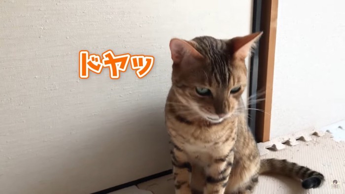 思わずドヤ顔のオルちゃん