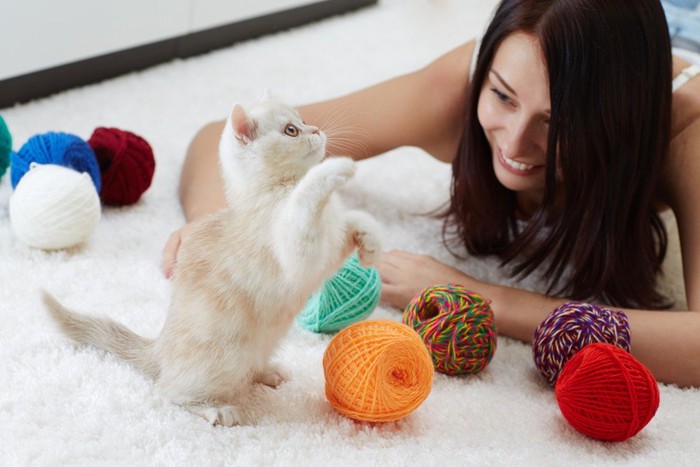 猫と遊ぶ女性