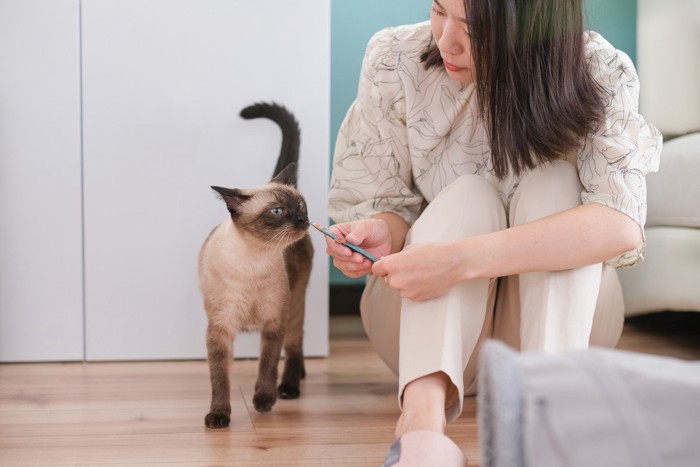 猫におやつをあげる女性