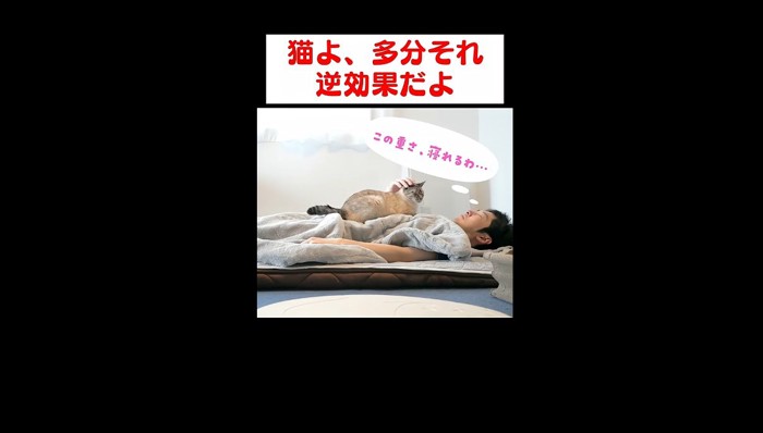 なでなで