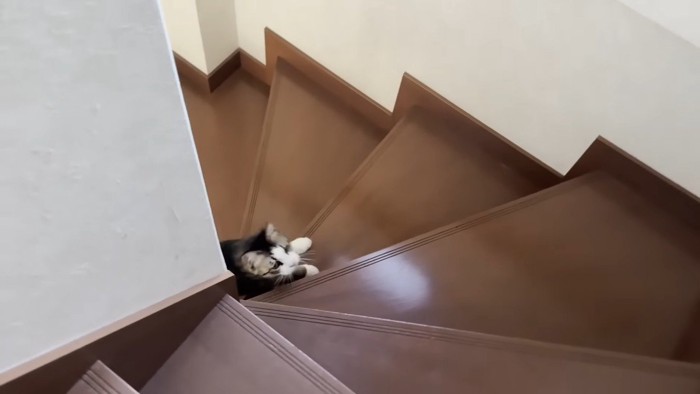 階段