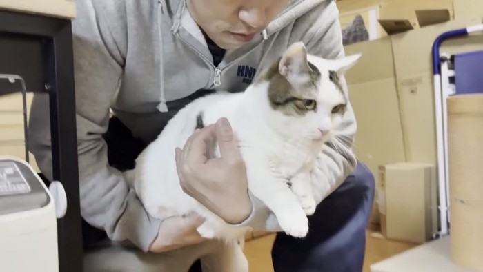 膝の上でくつろぐ猫の写真4