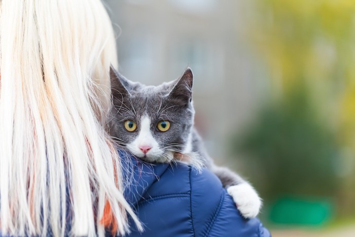 女性に抱っこされている猫