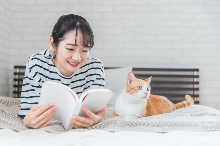 勉強する女性と猫