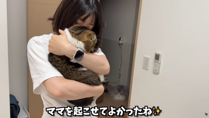 女性に抱っこされている猫