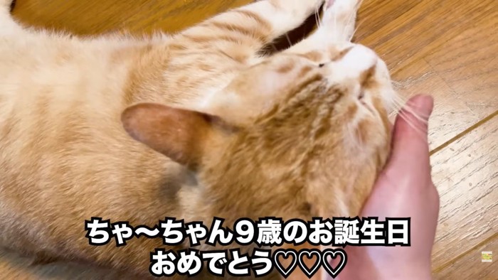 テロップ「ちゃ~ちゃん9歳の~」