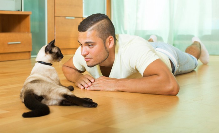 男性の様子に驚く猫