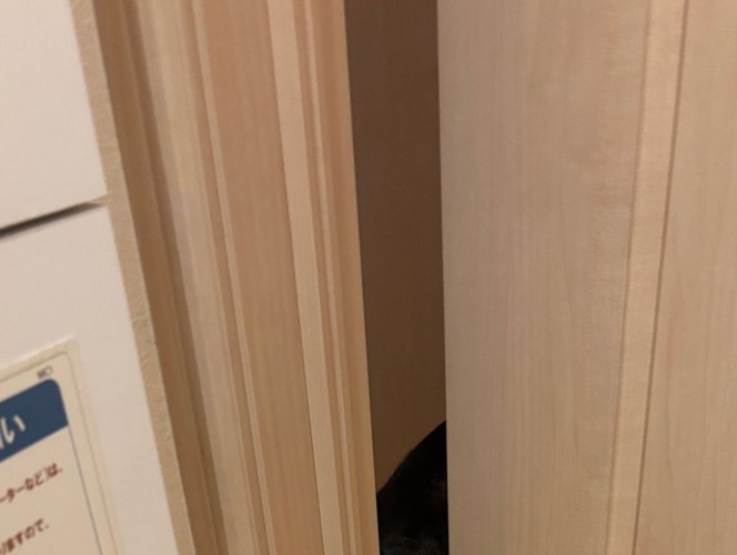トイレのドアの隙間