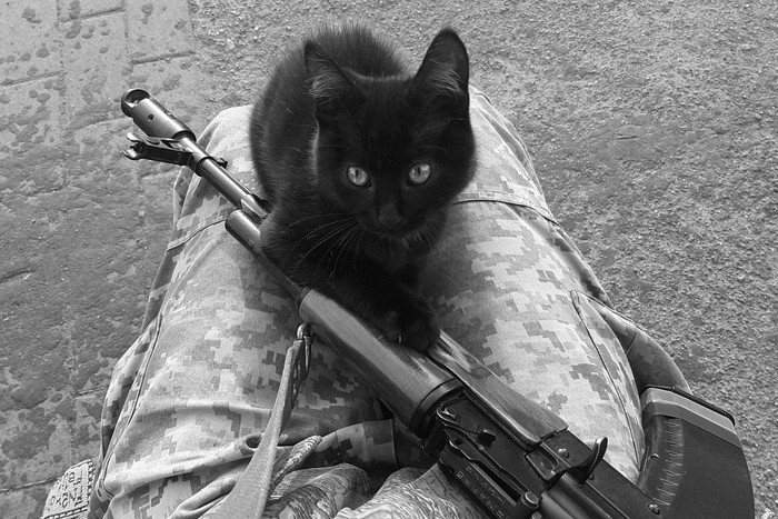 兵士の膝にのる黒猫