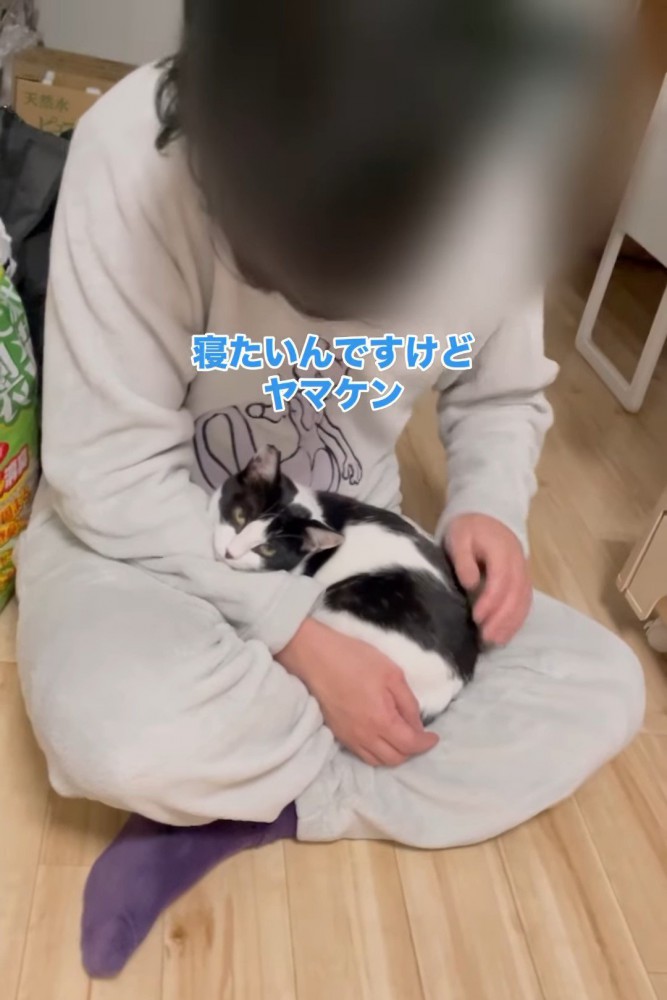 あご乗せしている猫