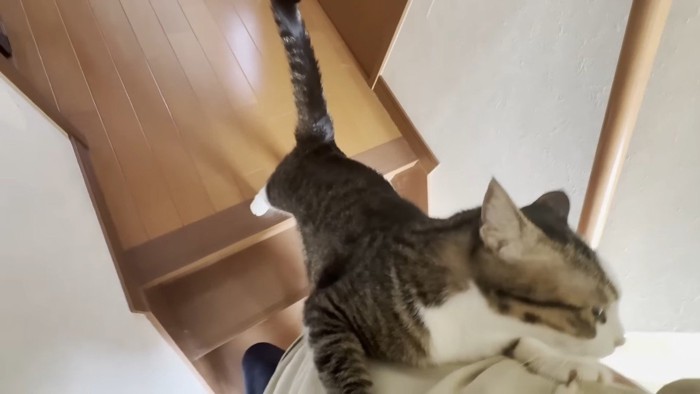 掴まり立ち