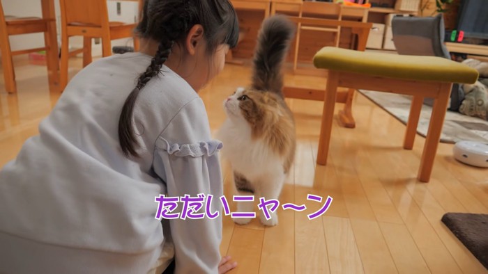 見つめ合う子供と猫