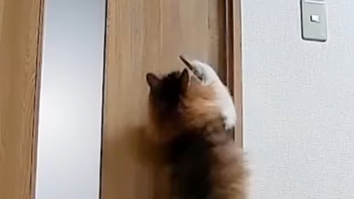 傾くドアノブ