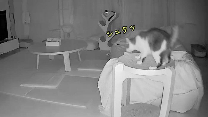 シュタッ