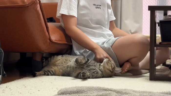 撫でられ中