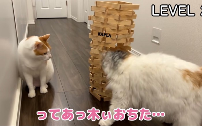 倒す猫