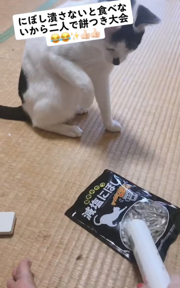 煮干しを優しく叩く