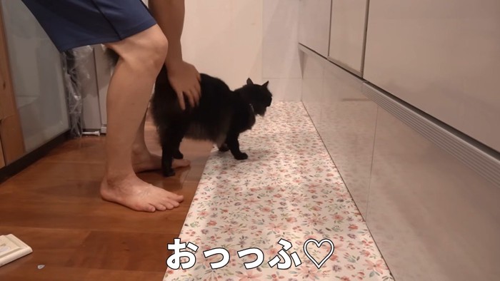 おっっふ♡