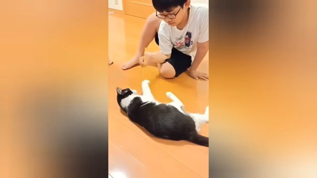 猫と遊ぶ少年