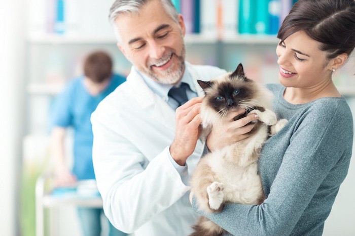 猫を抱く飼い主と笑顔の獣医師