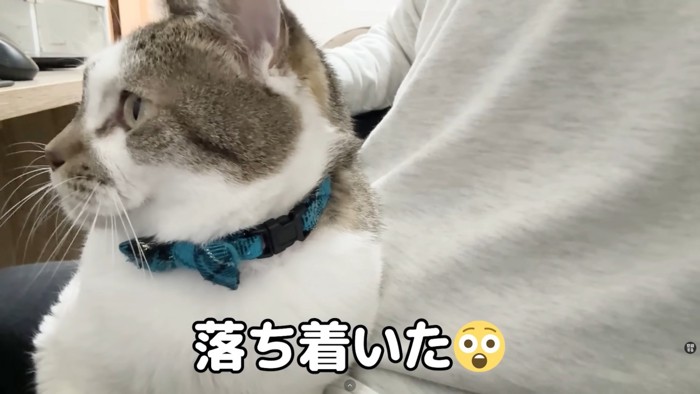 テロップ「落ち着いた」